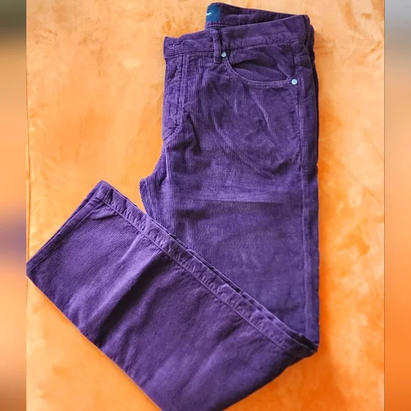 Ermenegildo Zegna men's deep purple curdoroy sz 34